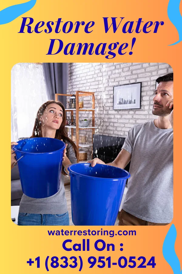 water restoration Zenith Water Cleanup Masters St. Bonaventure