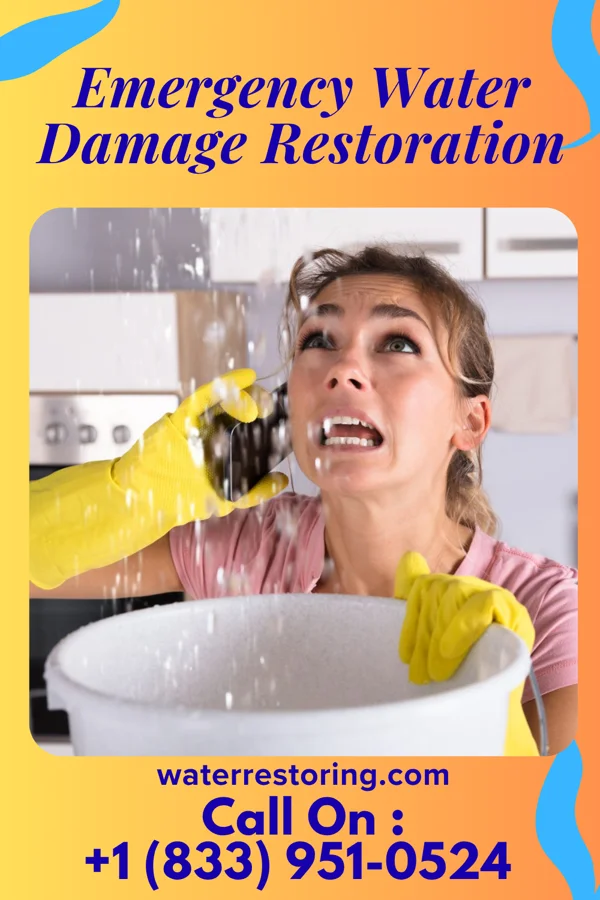 Emergency Water Damage Restoration in St. Bonaventure, NY