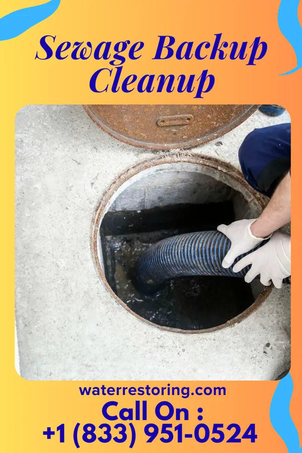 Sewage Backup Cleanup in St. Bonaventure, NY
