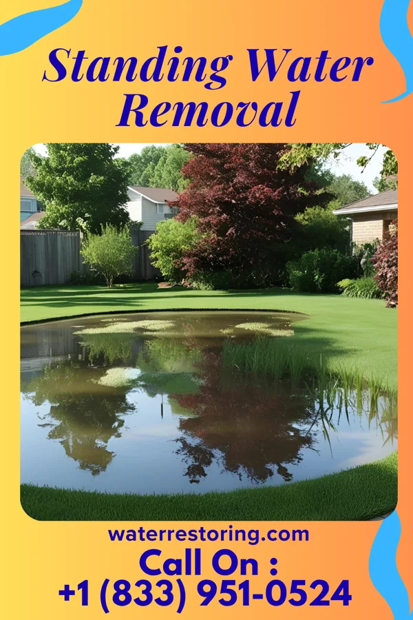 Standing Water Removal in St. Bonaventure, NY